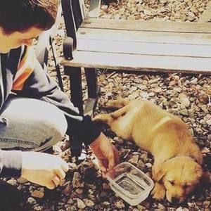 Meet your Posher, Cole